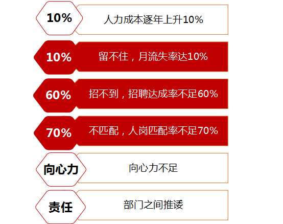 人力资源管理咨询